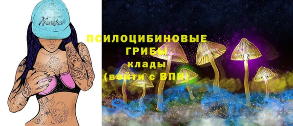 a pvp Корсаков