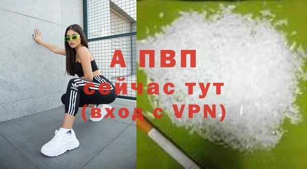 a pvp Корсаков